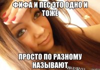 ФИФА и ПЕС это одно и тоже просто по разному называют