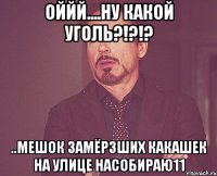 оййй....ну какой уголь?!?!? ..мешок замёрзших какашек на улице насобираю11