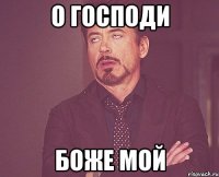 О господи боже мой