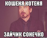 Кошеня котеня зайчик сонечко