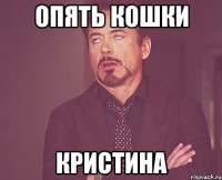 Опять кошки Кристина