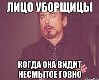 Лицо уборщицы когда она видит несмытое говно