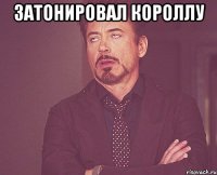 затонировал короллу 