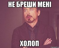 Не бреши мені Холоп