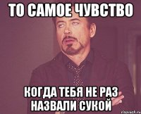 то самое чувство когда тебя не раз назвали сукой