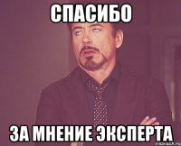 Спасибо За мнение эксперта