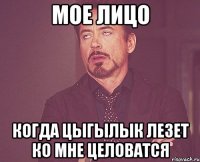 мое лицо когда цыгылык лезет ко мне целоватся
