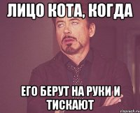 лицо кота, когда его берут на руки и тискают