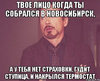 Твое лицо когда ты собрался в Новосибирск, а у тебя нет страховки, гудит ступица, и накрылся термостат