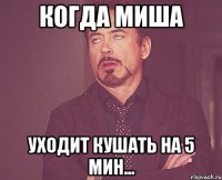 Когда Миша уходит кушать на 5 мин...