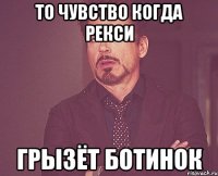 то чувство когда рекси грызёт ботинок