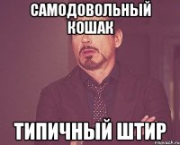 Самодовольный кошак Типичный Штир