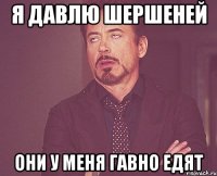 я давлю шершеней они у меня гавно едят