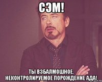 Сэм! Ты взбалмошное, неконтролируемое порождение ада!
