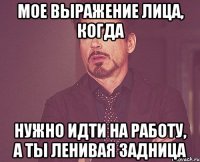 Мое выражение лица, когда Нужно идти на работу, а ты ленивая задница