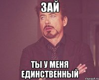 ЗАЙ ТЫ У МЕНЯ ЕДИНСТВЕННЫЙ