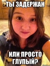 Ты задержан Или просто глупый?