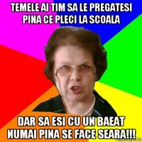 Temele ai tim sa le pregatesi pina ce pleci la scoala Dar sa esi cu un baeat numai pina se face seara!!!