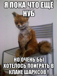 я пока что ещё нуб но очень бы хотелось поиграть в клане шарксов !