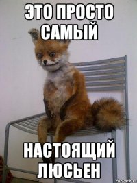 это просто самый настоящий Люсьен