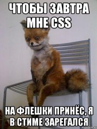 Чтобы завтра мне CSS на флешки принёс, я в стиме зарегался