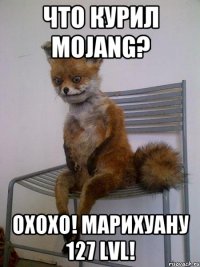 что курил Mojang? OxOxO! Марихуану 127 lvl!