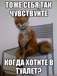 Тоже себя так чувствуйте Когда хотите в туалет?