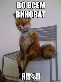 во всем виноват Я!!%!!