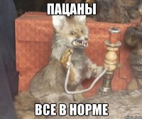 Пацаны Все в норме