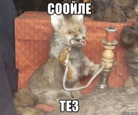 Соойле Тез