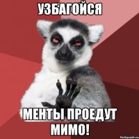 УзБаГоЙсЯ Менты проедут мимо!