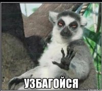  УЗБАГОЙСЯ