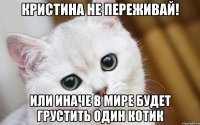 Кристина не переживай! Или иначе в мире будет грустить один котик