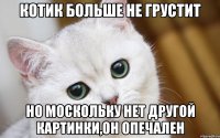 котик больше не грустит но москольку нет другой картинки,он опечален