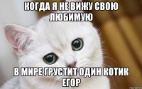 когда я не вижу свою любимую в мире грустит один котик Егор