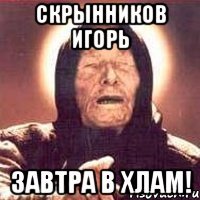 Скрынников Игорь ЗАВТРА В ХЛАМ!