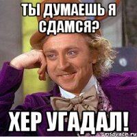 Ты думаешь я сдамся? Хер угадал!