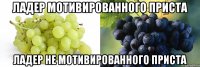 ладер мотивированного приста ладер не мотивированного приста