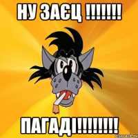 НУ ЗАЄЦ !!!!!!! ПАГАДІ!!!!!!!!