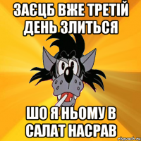 заєцб вже третій день злиться шо я ньому в салат насрав