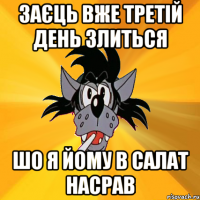 заєць вже третій день злиться шо я йому в салат насрав