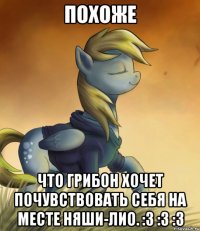 Похоже Что Грибон хочет почувствовать себя на месте няши-Лио. :3 :3 :3