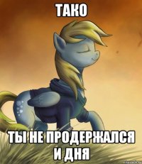 Тако Ты не продержался и дня
