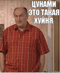 Цунами это такая хуйня