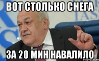 Вот столько снега за 20 мин навалило