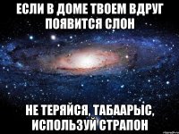 Если в доме твоем вдруг появится слон Не теряйся, табаарыс, используй страпон