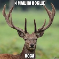 И Машка вобще Коза