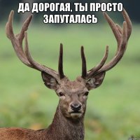 Да дорогая, ты просто запуталась 