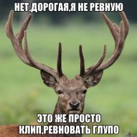 Нет,дорогая,я не ревную Это же просто клип,ревновать глупо