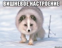 ВИШНЕВОЕ НАСТРОЕНИЕ 